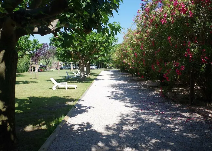 Les Trilles * ולראס-פלאז'